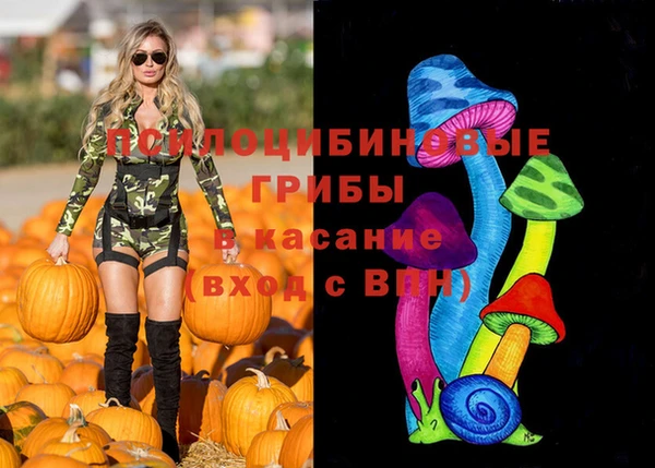 а пвп мука Алзамай