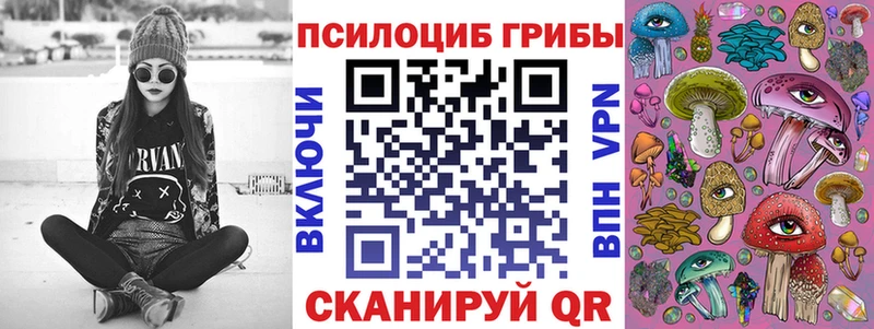 KRAKEN ссылки  Уссурийск  Псилоцибиновые грибы Psilocybine cubensis 